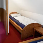 Specht In Zinnowitz, Usedom