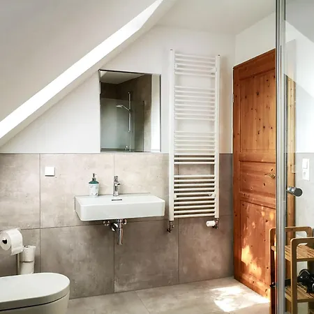 Specht In Zinnowitz, Usedom