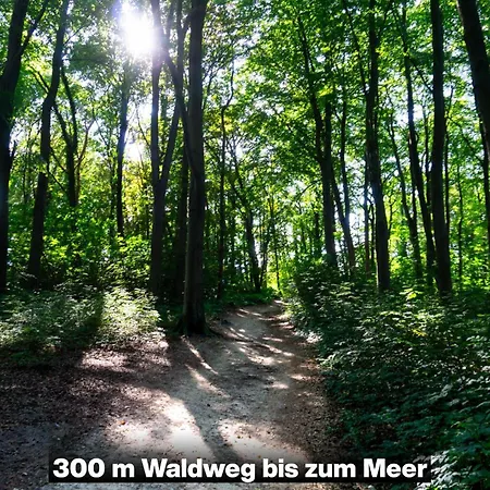 Dom wakacyjny Specht In Zinnowitz, Usedom