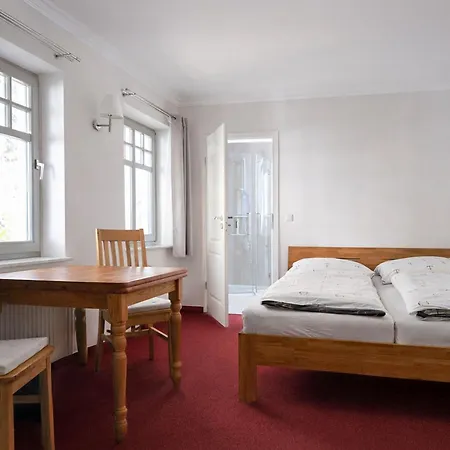 Specht In Zinnowitz, Usedom * 奥斯特西巴德钦诺维茨