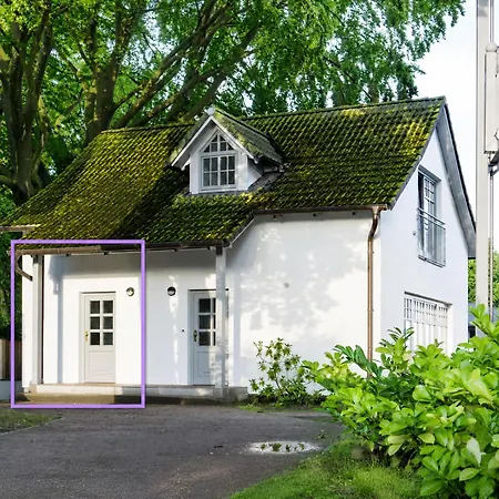 Specht In Zinnowitz, Usedom