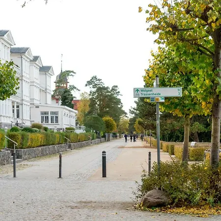 Specht In Zinnowitz, Usedom